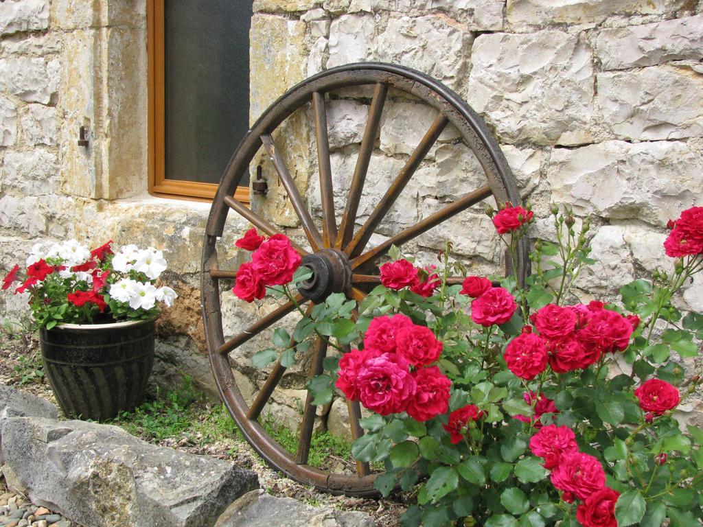 Domaine Audubert Guest House Сент-Антонен Екстериор снимка